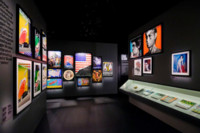 Galeria zdjęcie 14
