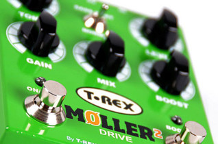 Miniatura zdjęcia 3 z 4, produktu T-Rex MOLLER II