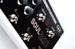 Miniatura zdjęcia 2 z 8, produktu T-Rex SOULMATE