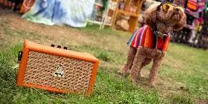 Orange Box i Orange Box-L - nowe głośniki Bluetooth od Orange Amps - Zdjęcie 1